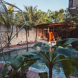  Hotel Botanica