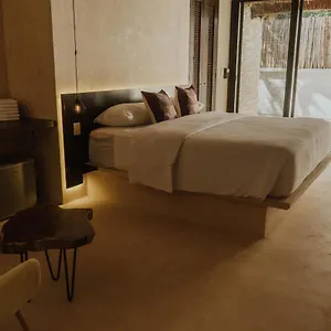  Hotel Casa Chimi